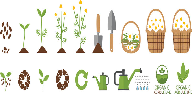 Gardening and Plant Growth Vector Set Featuring Seed Germination Flower Cultivation Tools Watering Can and Organic Agriculture Elements for Farming and Nature Design