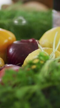 Vertical video: Icons popping, cam sweeping right-up, focusing peppers and onion, showing freshness