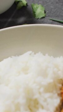 Vertical video: Rice curry bowl revealing, halftone shifting, terminal text scrolling for food ad