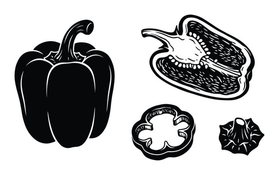 Bell pepper vegetable collection featuring whole pepper longitudinal cross section and sliced ring