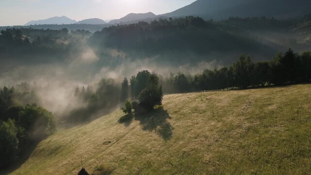 Peaceful mist rising in a rural valley with sunbeams through trees on the ridge, ethereal golden hour scene in the Bran hills, Carpathians,  static aerial shot