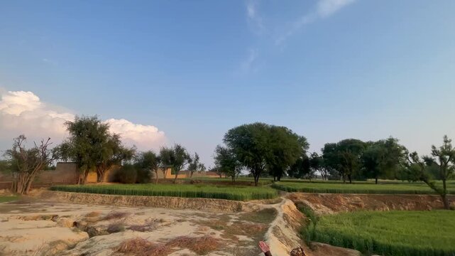 Wide Angle Village Landscape in Khyber Pakhtunkhwa Pakistan &ndash; Green Fields, Mud Houses, Blue Sky, Rural Life
