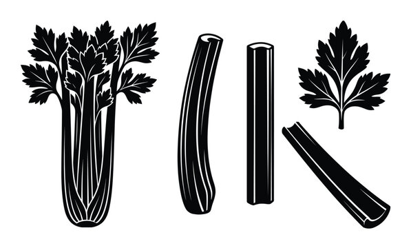 Celery bunch stalks and leaves black silhouette vector graphic, fresh vegetable illustration