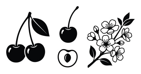 Cherry fruit and blossom set flat style vector illustration sweet and sour berry design © GoDesigner