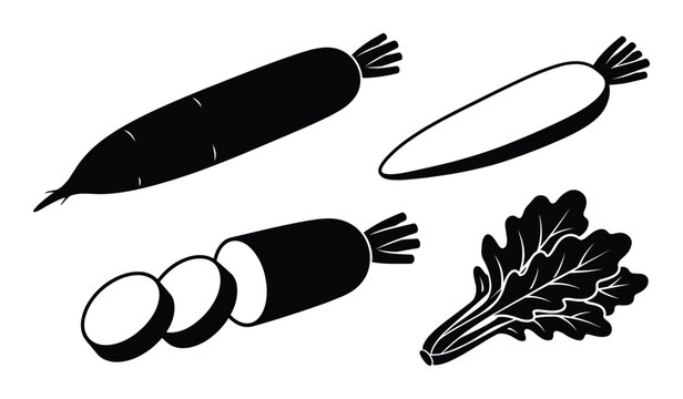 Daikon radish vector set showing whole vegetable with sliced pieces and bunch of fresh green leaves