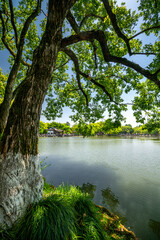 Obraz premium A panorama view from the West Lake in Hangzhou China - a beautiful scenery and a relaxing spot in the middle of a huge city