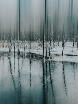 Abtract image of tree trunks of wooded area frozen into icy water.