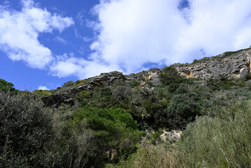 Fototapeta premium Parque natural de la Brena y las Marismas. Barbate, Andalusia, Spain, Europe.