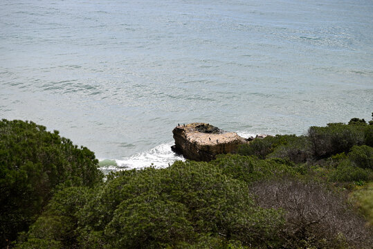 Parque natural de la Brena y las Marismas. Barbate, Andalusia, Spain, Europe.