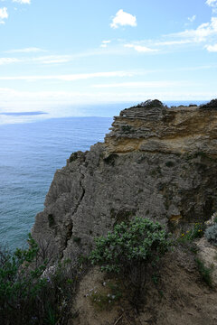 Parque natural de la Brena y las Marismas. Barbate, Andalusia, Spain, Europe.