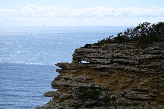 Parque natural de la Brena y las Marismas. Barbate, Andalusia, Spain, Europe.