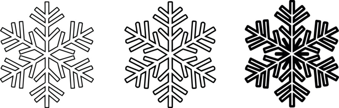 Three snowflakes in varying levels of detail are shown against a white background.