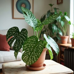 Fototapeta premium Lush Indoor Plant with Striking Green Leaves in Cozy Living Room Setting