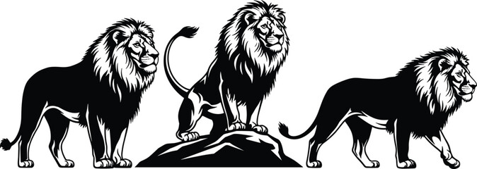 Collection of black lion silhouettes and majestic predator vector icons featuring male lions with manes standing on rocks for wildlife safari nature designs © MdHasmot