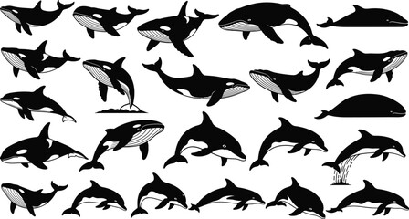 Large collection of orca, dolphin, and whale vector silhouettes in various swimming and breaching poses, marine life mammal illustrations isolated on white background for ocean design © MdHasmot