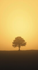 Obraz premium Field with a tree in the middle of the sunset