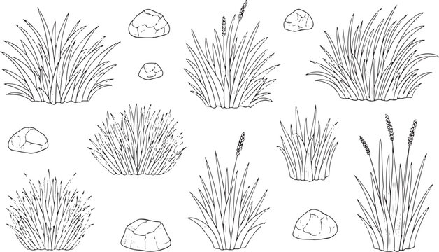 Hand-drawn Grass and Rock Illustration Set for Nature, Landscape, and Outdoor Designs