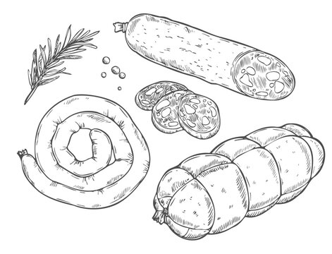 Doodle sausage and salami ham sketch set, hand drawn food engraving.