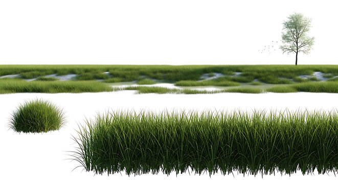 Isolated green grass elements, including long grass, small bush, and distant tree, for architectural or landscape rendering composition, white background