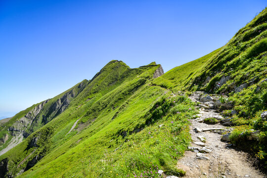 Walking trail on the ridge near Brienzer Rothorn peak