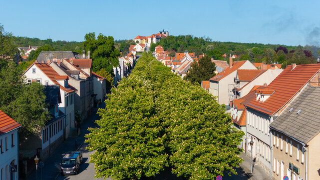 Bilder aus Ballenstedt Harz