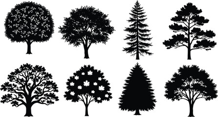 Obraz premium Collection of various tree silhouettes including oak pine and maple isolated on white background, black forest plant vector illustration set for nature landscape design.