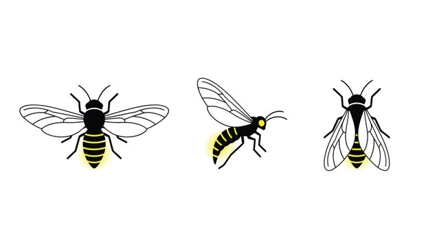 Glowing Fireflies Vector Set. Three bioluminescent lightning bugs illustrations on white background.