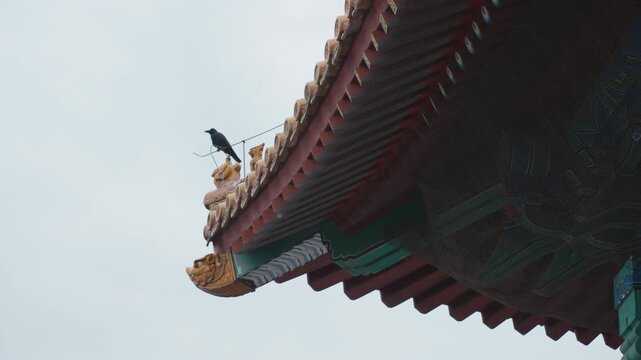 Ornate temple roof corner with birds, closeup of gilded eave dragon ornament and perched crow against overcast sky, moody atmospheric texture, detailed ceramic tiles and carved cornice conveying