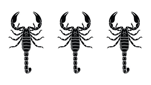 Set of Three Black Scorpion Illustrations. Graphic Design Element for Danger, Zodiac, or Desert Themes.