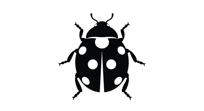A striking silhouette of a ladybug is presented against a bright white backdrop showcasing its distinctive spotted pattern high quality professional