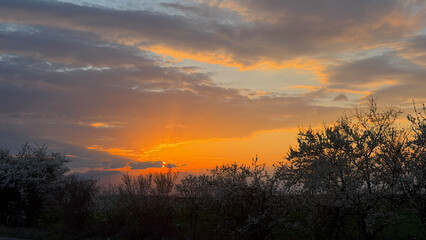 Fototapeta premium Beautiful panorama view of the sunset in March in Bulgaria - the spring is here with many fruit trees blooming even along the highways 