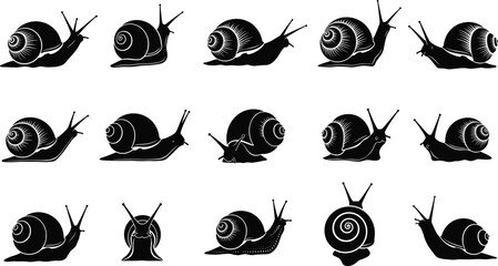 Black snail silhouette set with various garden gastropod poses isolated on white background for nature design elements and biological wildlife animal vector illustration © JONI