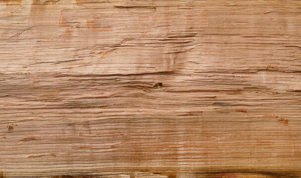 Rough natural wood texture background