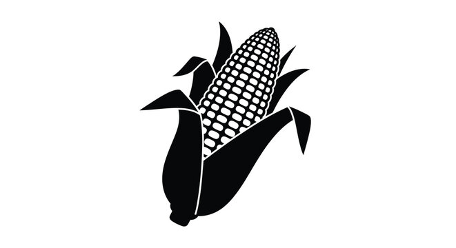 A stylized black and white illustration depicts a single ear of corn with green husks partially peeled back high quality professional