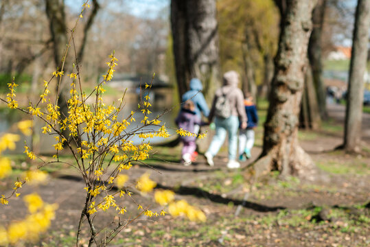 A mother and her children take a walk in a spring park.