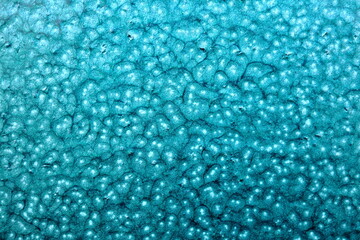 Obraz premium Teal Turquoise Bubbly Organic Surface Texture, Vibrant Macro Bac