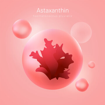 Astaxanthin Icon Supplement in 3D Vector with Red Algae Bubble, Haematococcus Pluvialis Antioxidant for Skin Health and Nourishment, Vitamin Mineral Concept, Anti Ageing Complexion, Medicine Circle