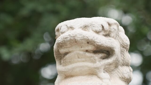 Weathered lion statue closeup shows textured face and carved mane against blurred leaves, conservator inspecting surface, dramatic tonal contrast, cinematic bokeh, gritty stone detail, solemn mood