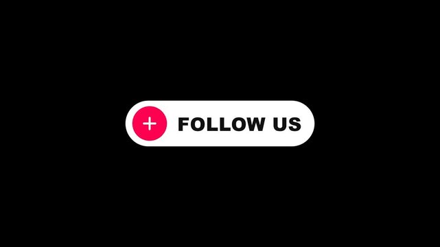 Follow Us Button Animation Call to Action