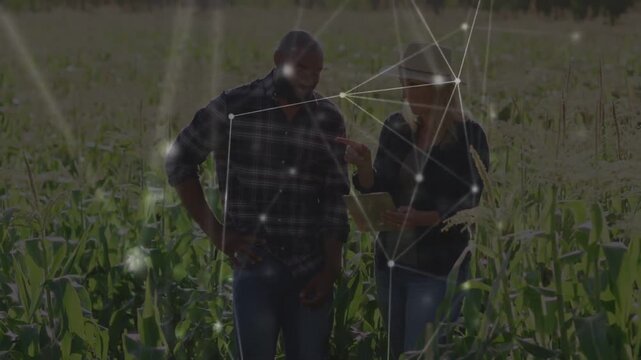 Agronomist tapping tablet, causing network overlay while farmer inspecting corn and discussing data