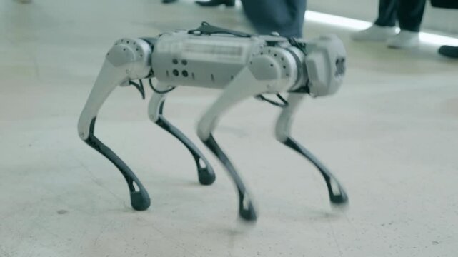 Four-Legged Robot dog - mechanical device with AI, behavior of a living creature. Closeup