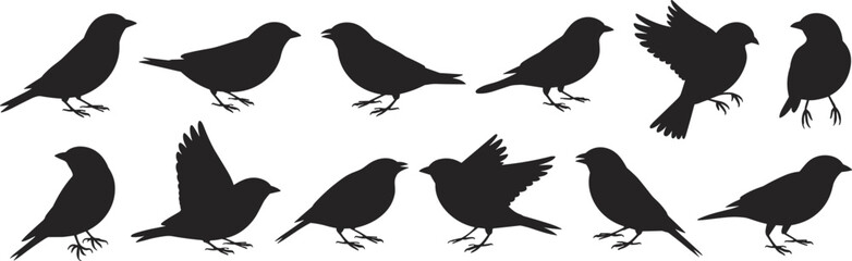 Obraz premium Set of black bird silhouettes and sparrow icons in various poses including flying and perching isolated on a white background