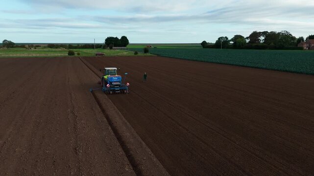 Aerial view of a green tractor plowing a field, cultivating land with a spike tooth harrow cutting, birds in the field looking for food. Summer sunset rural farmland, food production and crop harvest