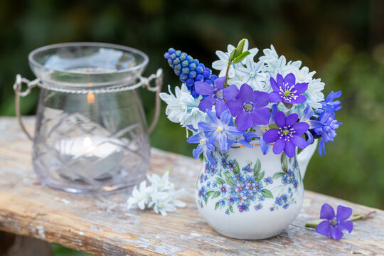 Blumenstrau&szlig; in Blau mit Kleinem Immergr&uuml;n (Vinca minor), Leberbl&uuml;mchen (Hepatica nobilis), Blaustern (Scilla), Traubenhyazinthe (Muscari) in Porzellan-Vase und Windlicht