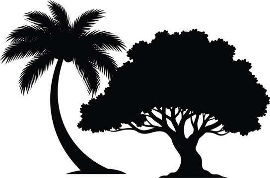 Silhouettes of a palm tree and a broadleaf tree against a plain background