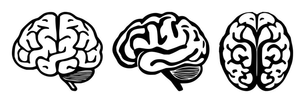 Solid black icon, white background: neurology brain synapse icon set with simple line art design featuring line art, illustrations, graphic resources with vector and design elements
