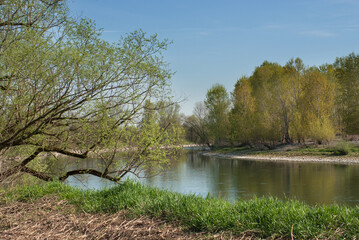 fiume adda in primavera