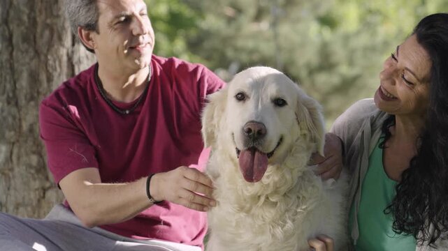 Happy senior couple relaxing in a park and affectionately petting their beautiful golden retriever. A lovely moment of companionship and love