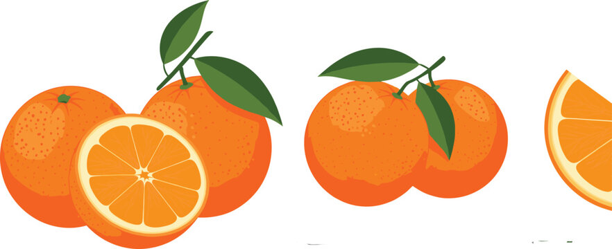 pical, sweet, nutrition, diet, vegan, vegetarian, produce, harvest, farm, leaf, peel, segment, juicyfruit, grocery, ingredient, collection, set, vector, illustration, isolated,