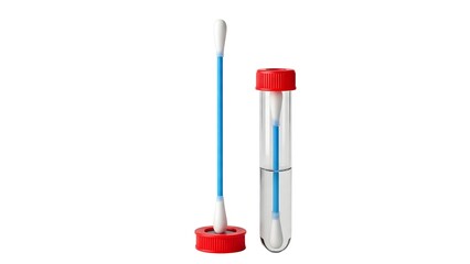 Fototapeta premium A medical swab and test tube on transparent background for laboratory use